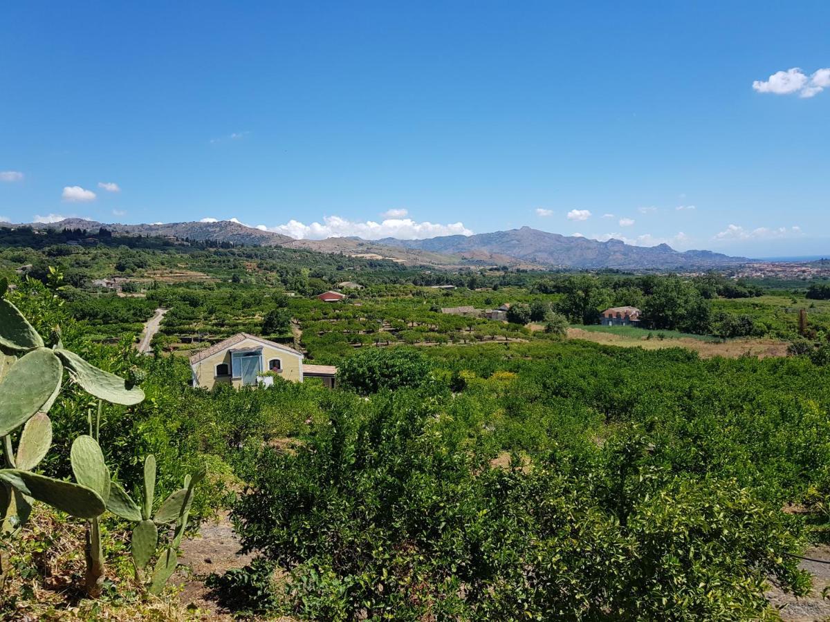 Agriturismo Le Case Di Civi มาสคาลิ ภายนอก รูปภาพ