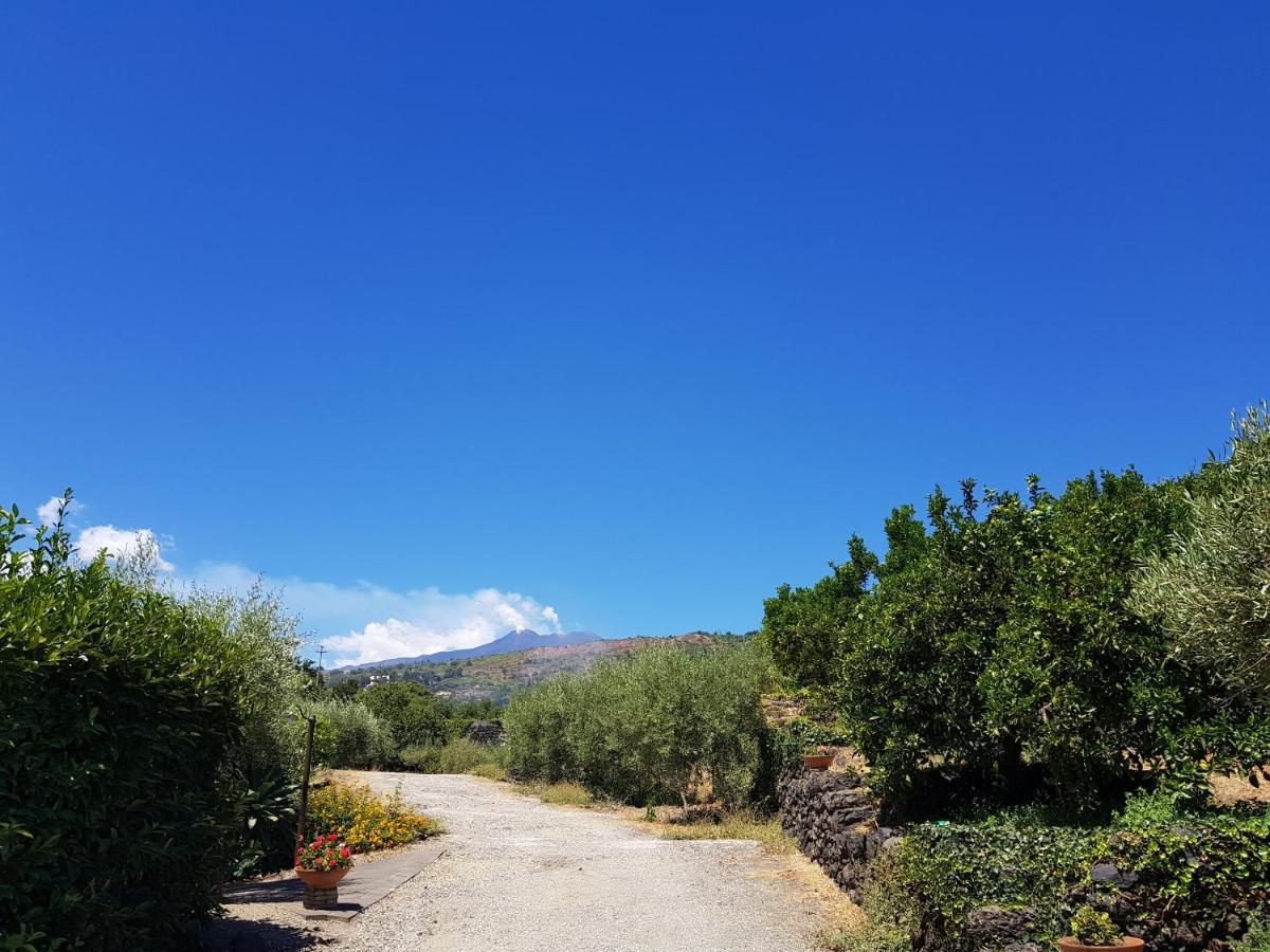 Agriturismo Le Case Di Civi มาสคาลิ ภายนอก รูปภาพ