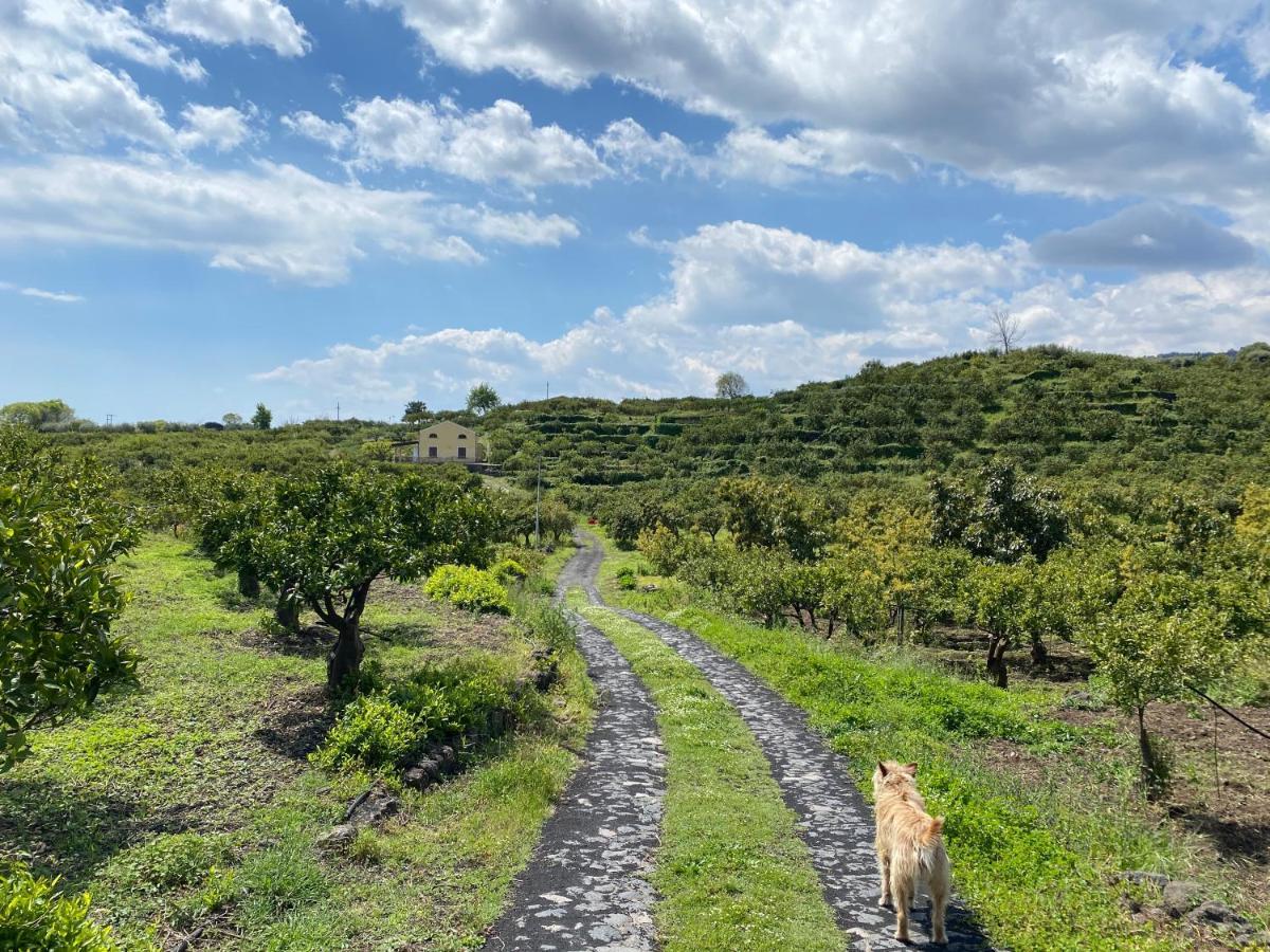 Agriturismo Le Case Di Civi มาสคาลิ ภายนอก รูปภาพ
