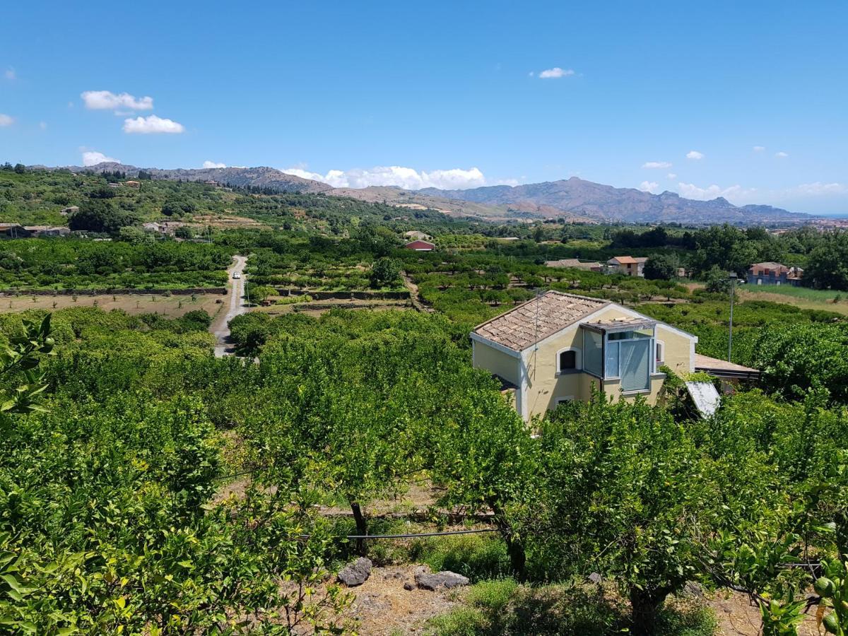 Agriturismo Le Case Di Civi มาสคาลิ ภายนอก รูปภาพ