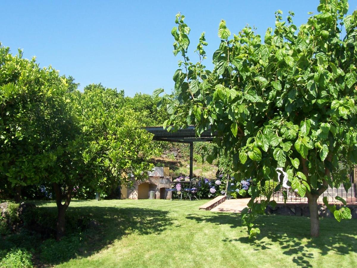 Agriturismo Le Case Di Civi มาสคาลิ ภายนอก รูปภาพ