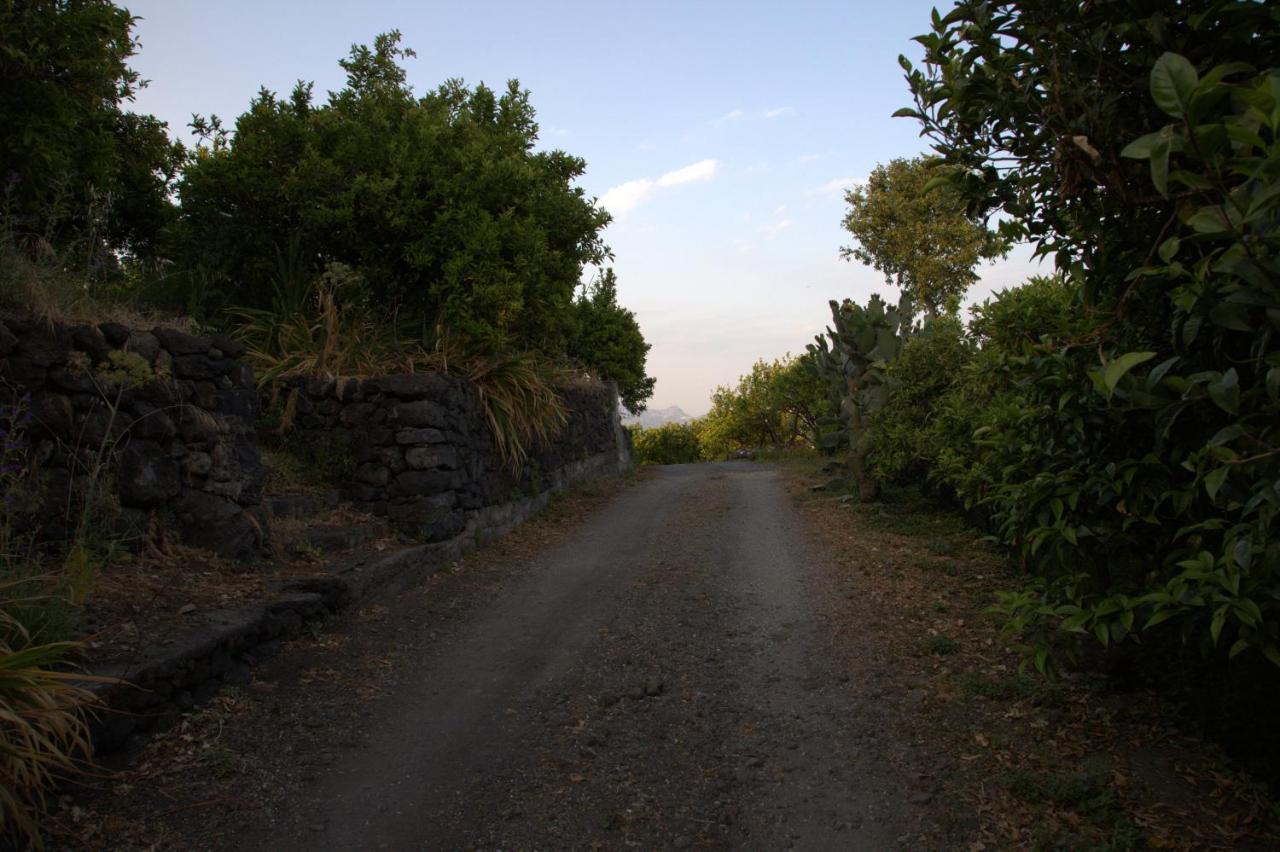 Agriturismo Le Case Di Civi มาสคาลิ ภายนอก รูปภาพ