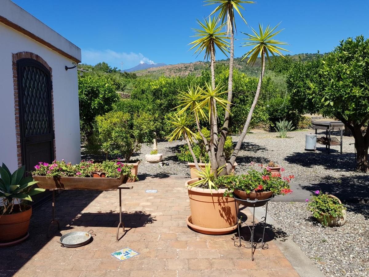 Agriturismo Le Case Di Civi มาสคาลิ ภายนอก รูปภาพ