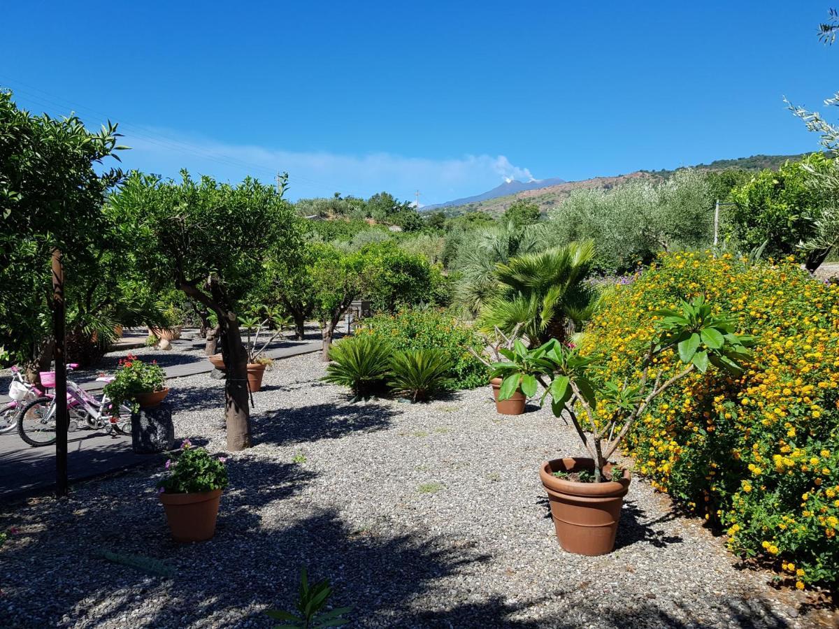 Agriturismo Le Case Di Civi มาสคาลิ ภายนอก รูปภาพ