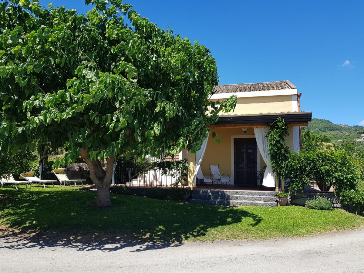 Agriturismo Le Case Di Civi มาสคาลิ ภายนอก รูปภาพ