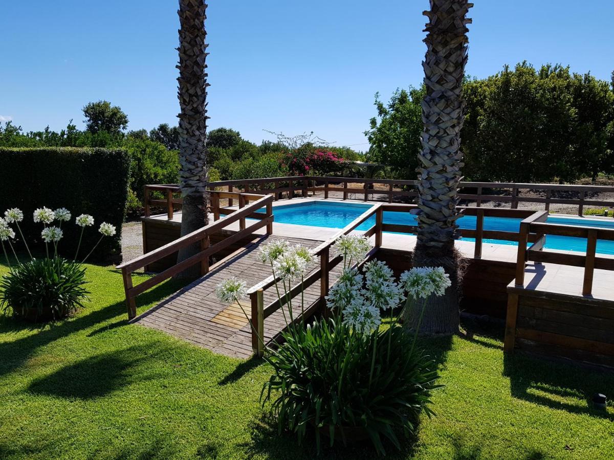 Agriturismo Le Case Di Civi มาสคาลิ ภายนอก รูปภาพ