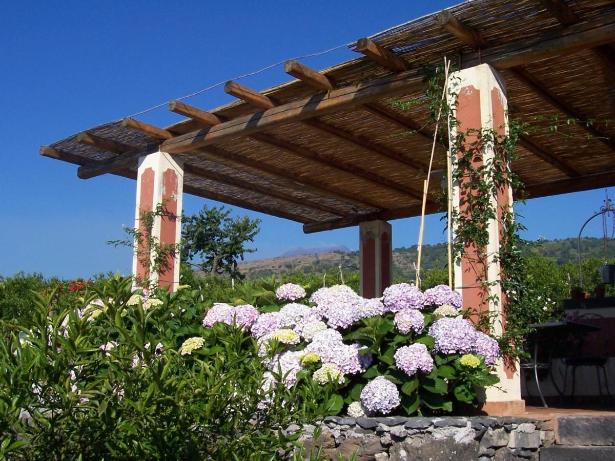Agriturismo Le Case Di Civi มาสคาลิ ภายนอก รูปภาพ