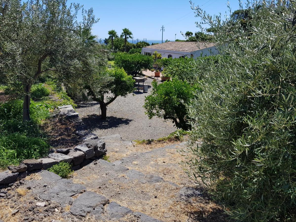 Agriturismo Le Case Di Civi มาสคาลิ ภายนอก รูปภาพ